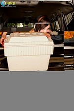 Eighteen cock 18 eighteen