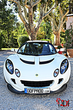 Young female gallery