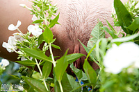 Naked in backyard Naked in backyard