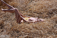 Bread and breasts Bread and breasts