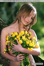 Yellow flowers Yellow flowers