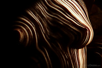 Models divine pussy having cutie pretty