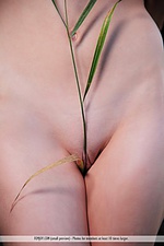 Shy teen nude teens femjoy