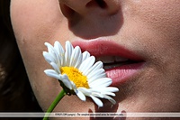 Free femjoy russian teen gallerys for free Free femjoy russian teen gallerys for free