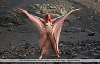 Free naked nude gallery young nude free Free naked nude gallery young nude free