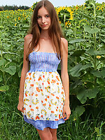 Delicious teen with impressive breasts and hairy pussy taking off clothes among the sunflowers.