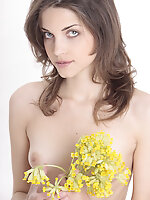 It looks like this totally nude girl adores the idea of posing her beauty with beautiful flowers.