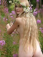Fabulous attractive nude angel is wandering in the valley in a chamomile garland and is looking for some other flowers to decorate her garland.