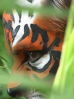 Victoria and joey portrays two lusty tigers in a mating ritual full of passionate and raw sex. Victoria and joey portrays two lusty tigers in a mating ritual full of passionate and raw sex.