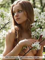 Female pics links glad you are here russian girls young femjoy with teen softcore photography free pics gallery