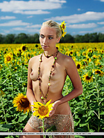 Free erotic art photography pictures free tit pictures