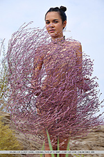 Erotic, sensual poses in the midst of a barren, exotic landscape.