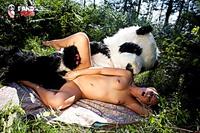 Adult galleries free teen