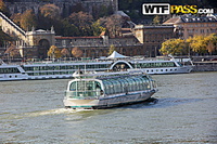 Free amateur pictures