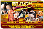 Black Seducer