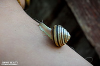 Naughty blonde Naughty blonde