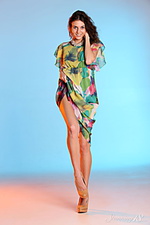 Pure model link fine dream image