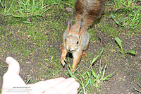 Flawless babe outdoors Flawless babe outdoors